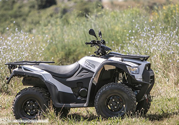 Quad
